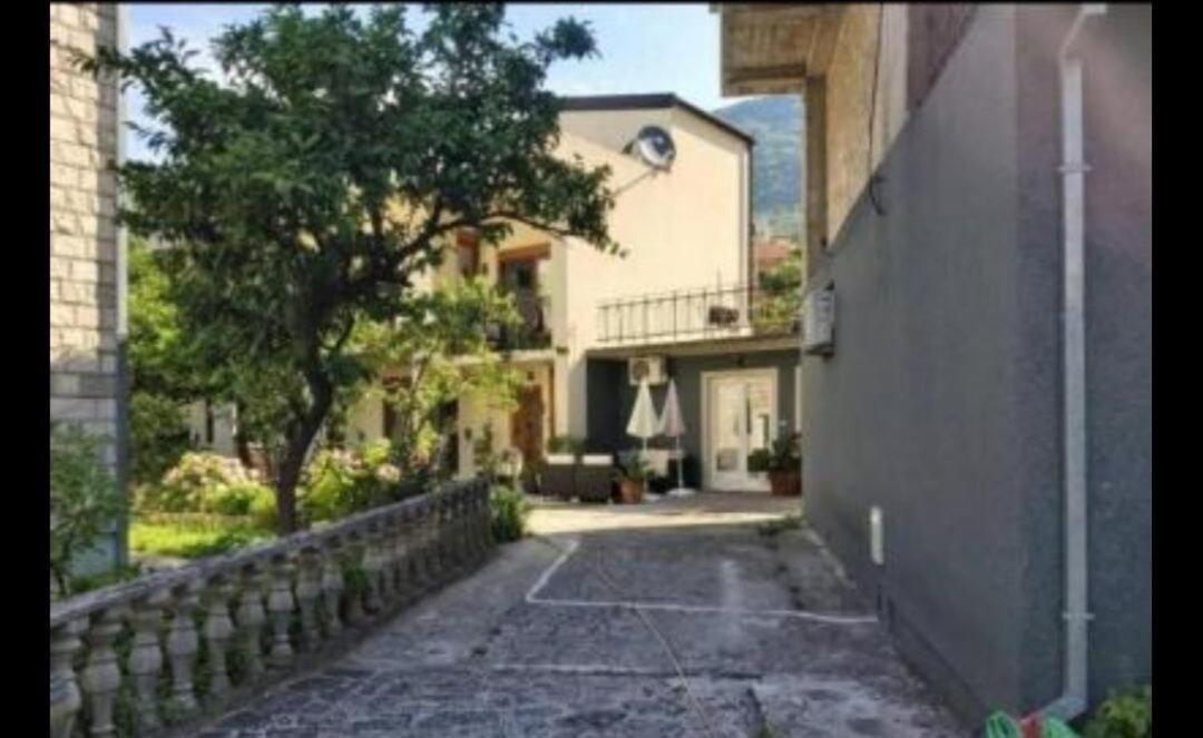 Apartment Center Risan